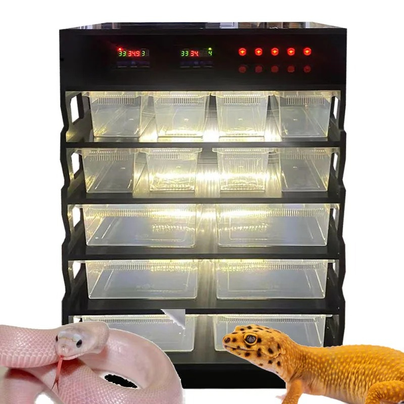 Gecko Lighting & Decor - เฟอร์นิเจอร์ PVC อัจฉริยะสำหรับสัตว์เลื้อยคลาน, อุปกรณ์สำหรับสัตว์เลื้อยคลาน, ฐานสำหรับสัตว์เลื้อยคลาน, ระบบชั้นวางเพาะพันธุ์งูและตุ๊กแกพร้อมไฟ
