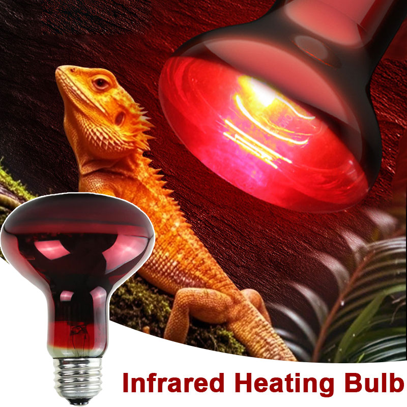 หลอดไฟอินฟราเรดสำหรับสัตว์เลื้ - Gecko Lighting & Decor บทวิจารณ์และราคา