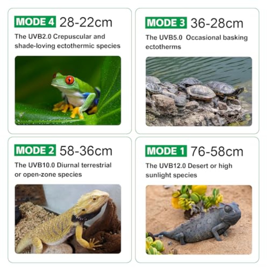 หลอดไฟ UVB สำหรับสัตว์เลื้อยคล - Gecko Lighting & Decor บทวิจารณ์และราคา