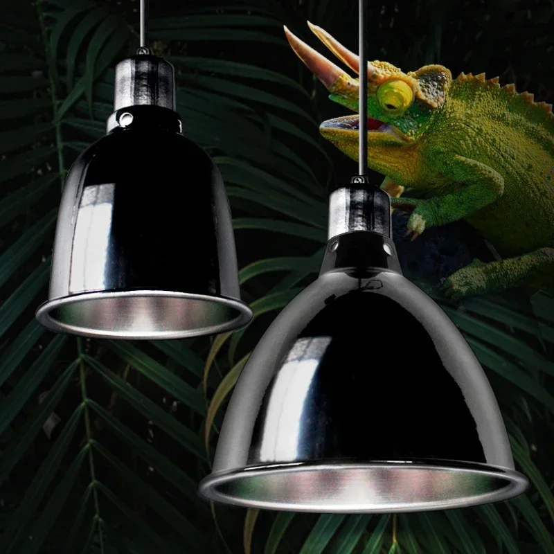 สัตว์เลื้อยคลานโดมลึกโคมไฟ 5.5 - Gecko Lighting & Decor บทวิจารณ์และราคา